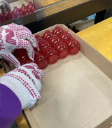 ����� �����������